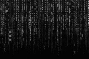 Programming BW